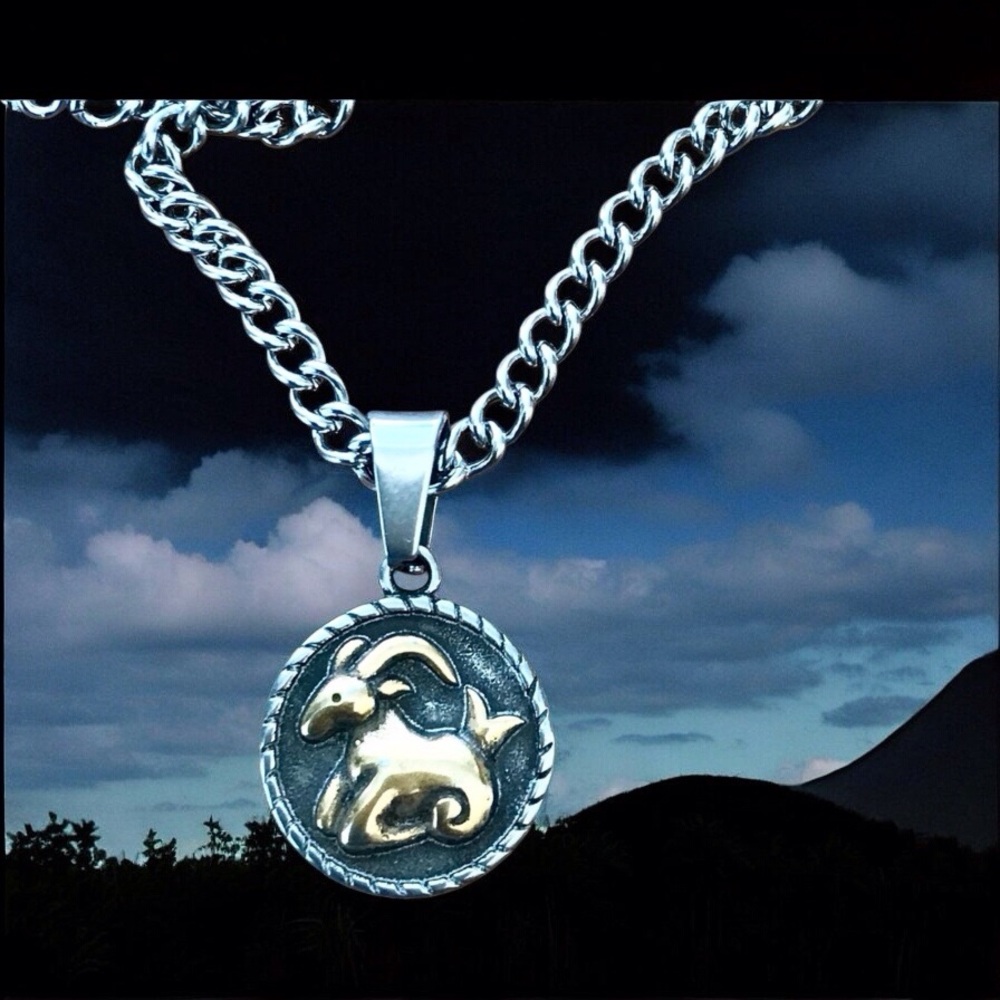 🆕 Aries Rustic Coin Pendant Necklace Stainless Steel